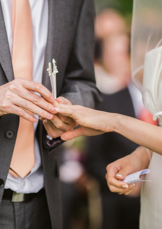 Engagement Celebration